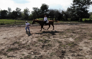 Düzce Güzeldere Şelalesi Turu