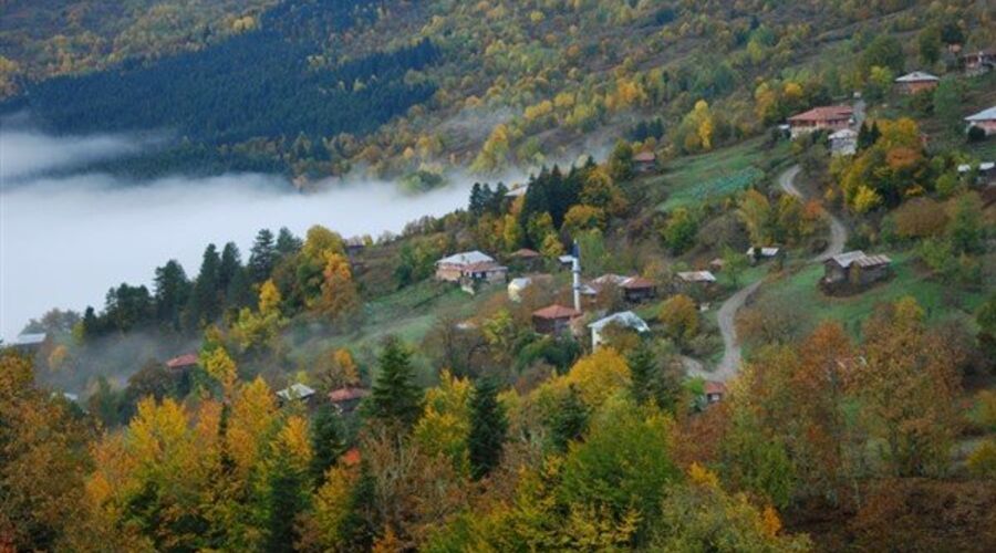 Yıldıztepe Kastamonu Safranbolu Turu Butik Herşey Dahil (1 Gece Otel)