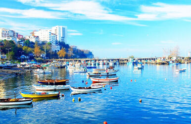 Zonguldak Ereğli Akçakoca Turu Butik Herşey Dahil (1 Gece Otel)