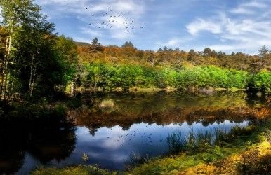 Yalova Termal, Sudüşen Ve Erikli Şelalesi