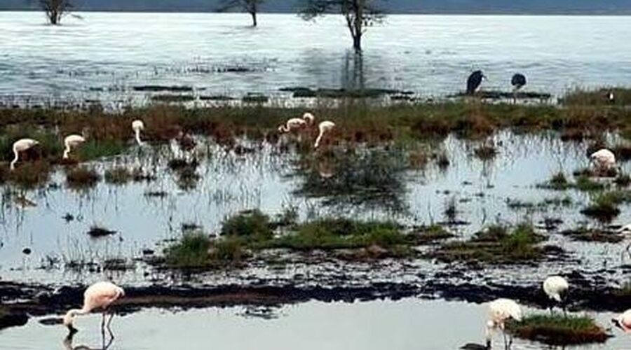 Kütahya, Frig Vadisi, Afyon, Beypazarı Turu
