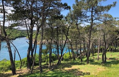 Butik Kastamonu Sinop Turu (2 Gece HB Otel)