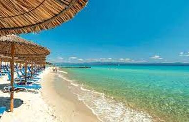 Yunanistan Halkidiki Turu (3 Gece Otel)