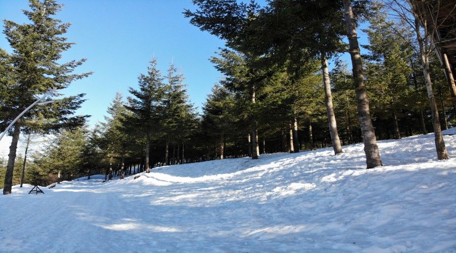 Sisli Vadi Maşukiye Ormanya Turu