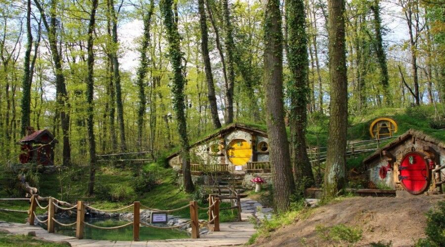 Ormanya Sapanca Kuzuyayla Yürüyüş Turu