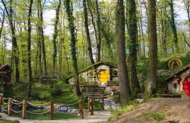 Ormanya Sapanca Kuzuyayla Yürüyüş Turu