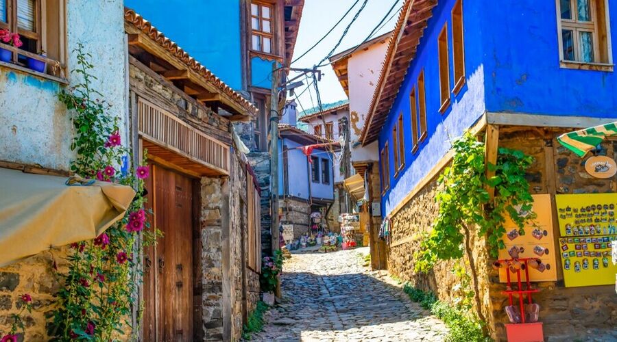 Bursa Cumalıkızık Köyü Turu