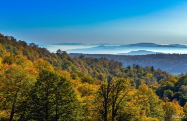 Maşukiye Kartepe Ormanya Turu